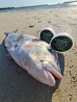 FUCKING Fluorocarbon Japonés – Hilo de pesca de alta resistencia, baja memoria y máxima fiabilidad
