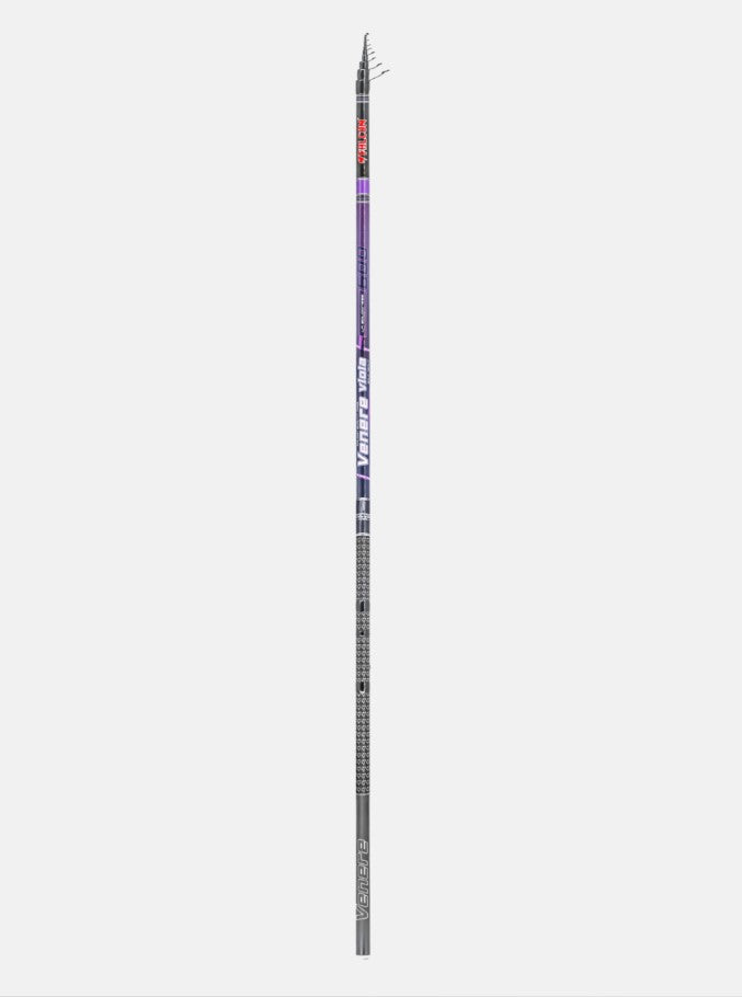 Falcon Venere Viola Caña Boloñesa