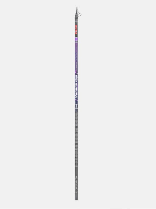 Falcon Venere Viola Caña Boloñesa