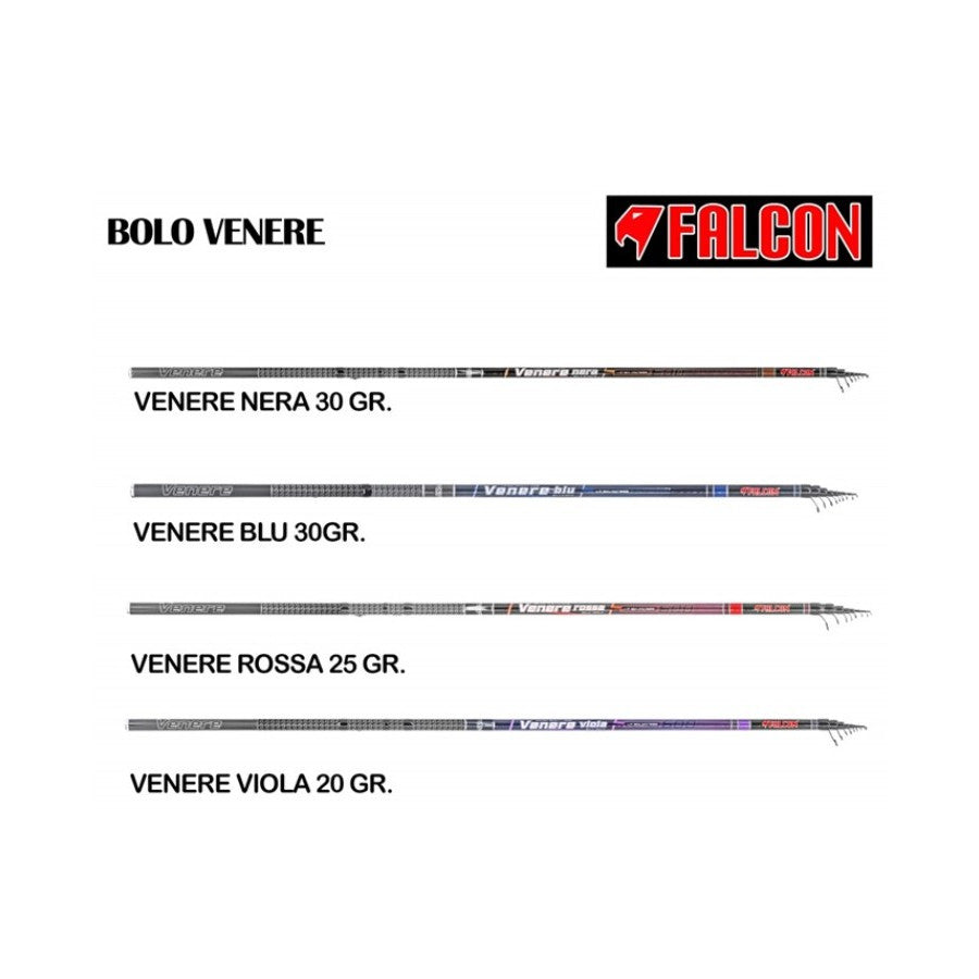 Falcon Venere Viola Caña Boloñesa